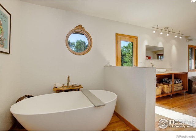 bathroom featuring vanity, rail lighting, a washtub, and wood-type flooring