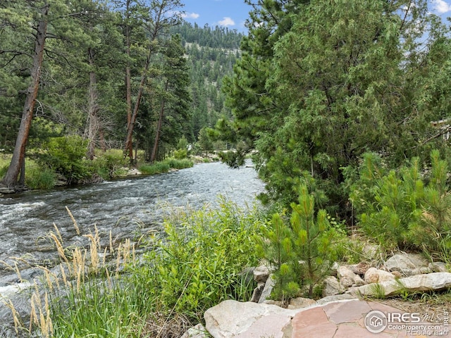 view of local wilderness featuring a view of trees