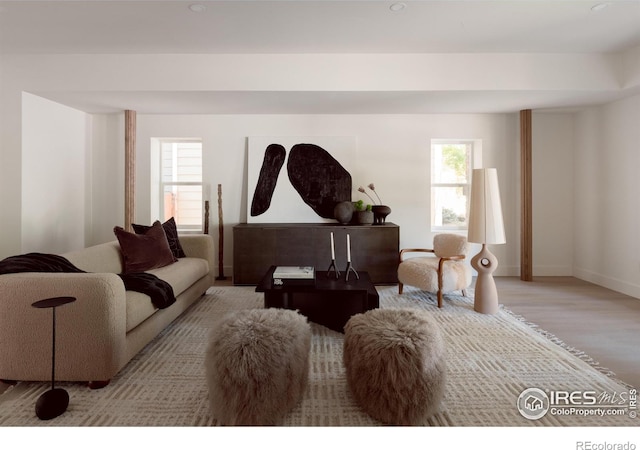 living room with light hardwood / wood-style flooring