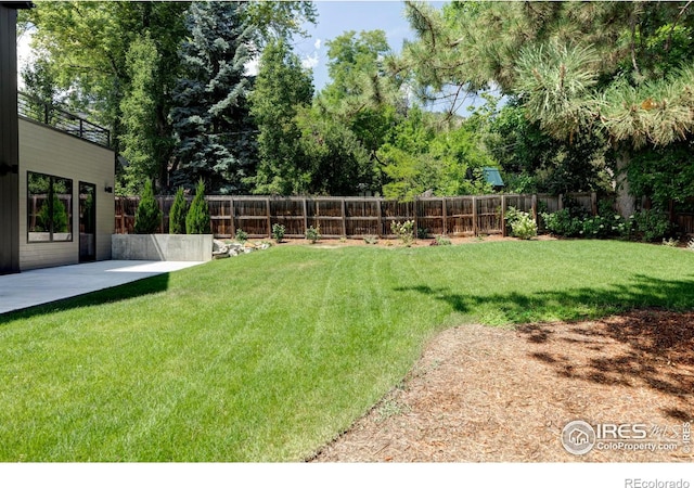 view of yard with a patio