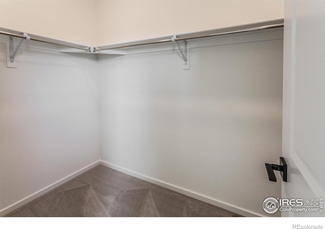 spacious closet with carpet flooring