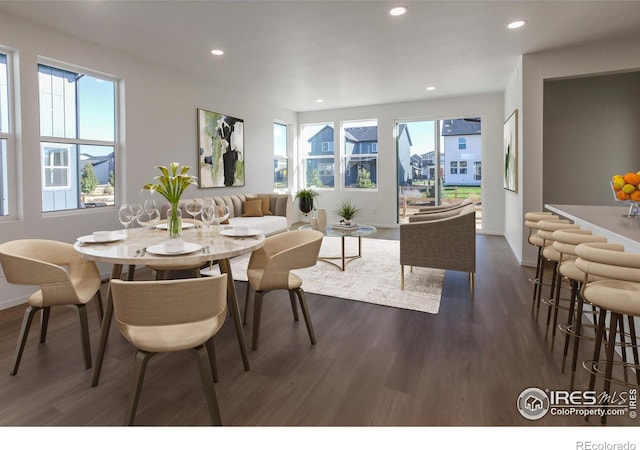 dining space with dark hardwood / wood-style floors