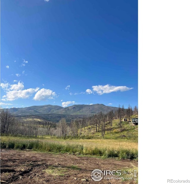 1081 Deer Horn Trl, Bellvue, CO 80512