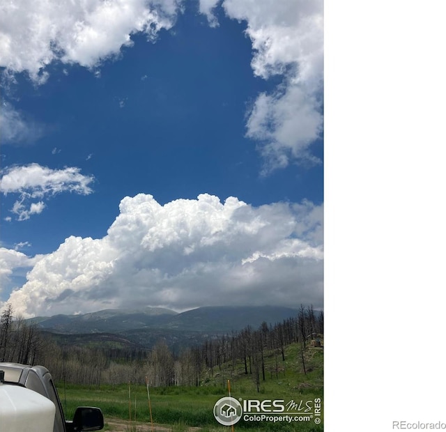 1081 Deer Horn Trl, Bellvue, CO 80512