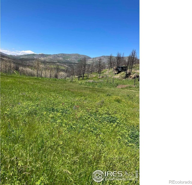 1081 Deer Horn Trl, Bellvue, CO 80512