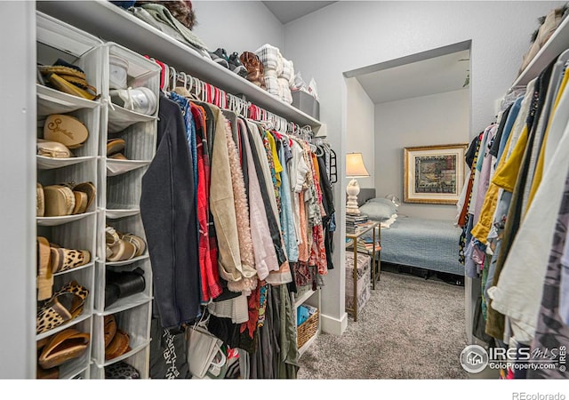 spacious closet with carpet floors