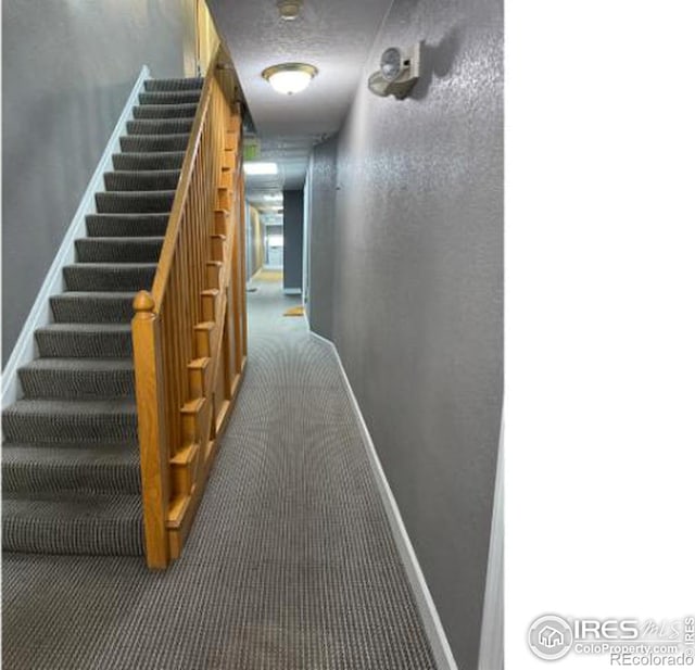 Listing photo 3 for 1650 N Pearl St Unit 17, Denver CO 80203