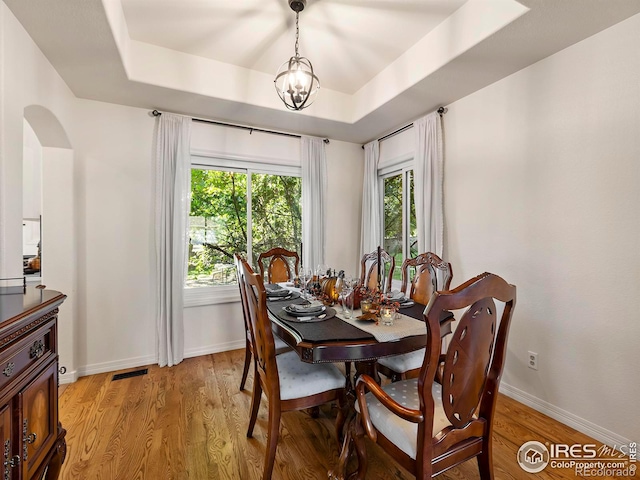 dining space with a chandelier, a healthy amount of sunlight, a raised ceiling, and light hardwood / wood-style flooring