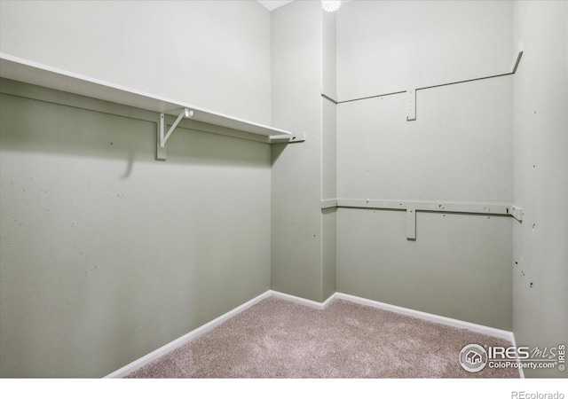 walk in closet featuring carpet flooring