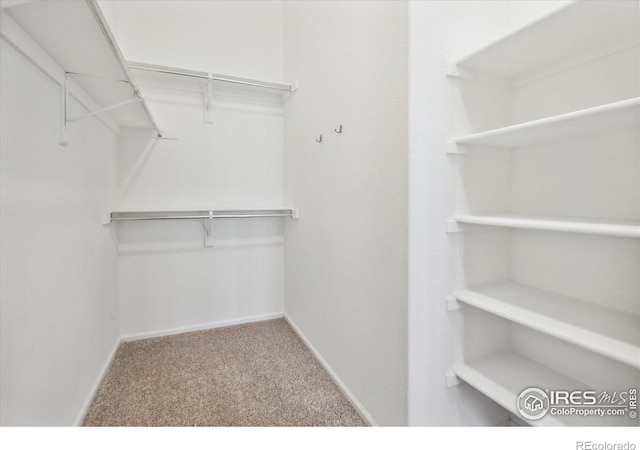 spacious closet with carpet floors