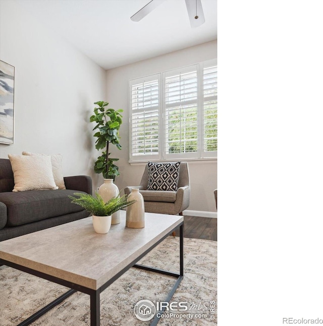 living room with ceiling fan and hardwood / wood-style floors