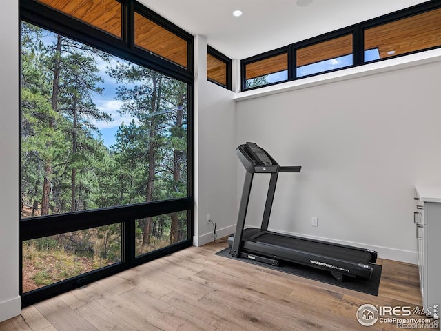 workout room featuring light hardwood / wood-style flooring