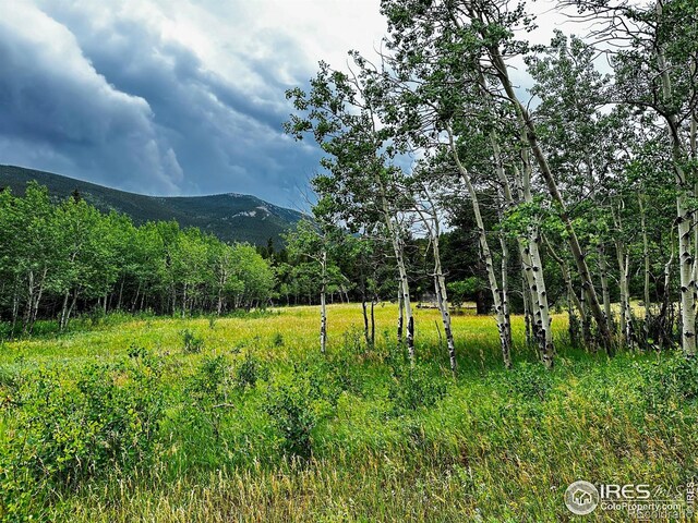 928 Ski Rd, Allenspark CO, 80510 land for sale