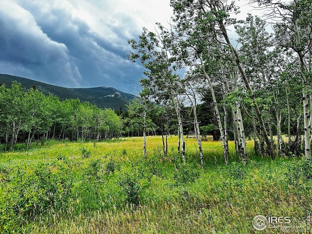 928 Ski Rd, Allenspark CO, 80510 land for sale