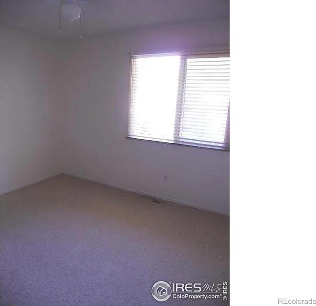 unfurnished room with carpet