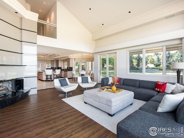 living area featuring wood finished floors and high vaulted ceiling