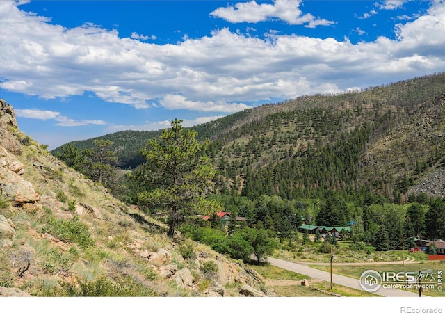 Listing photo 3 for 33032 Poudre Canyon Rd, Bellvue CO 80512