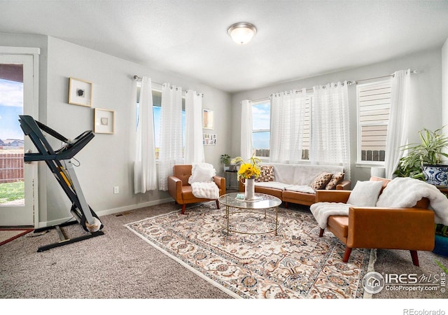 living room with a healthy amount of sunlight and carpet