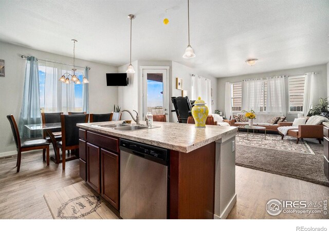 kitchen featuring sink, a healthy amount of sunlight, stainless steel dishwasher, and light hardwood / wood-style floors