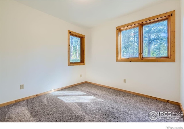 spare room featuring carpet floors and a healthy amount of sunlight