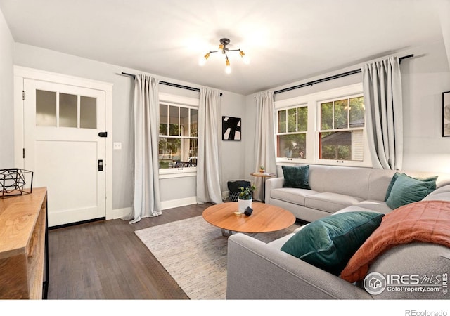 living room featuring dark wood-type flooring