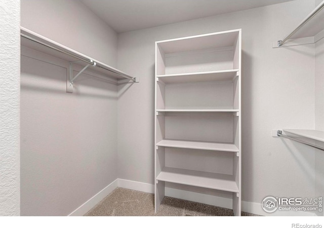 3288 Buffalo Grass Ln, Wellington, CO 80549 - walk in closet featuring carpet