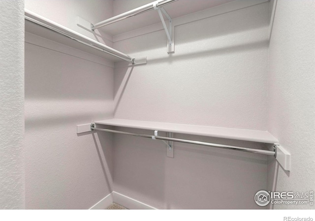 3288 Buffalo Grass Ln, Wellington, CO 80549 - view of walk in closet