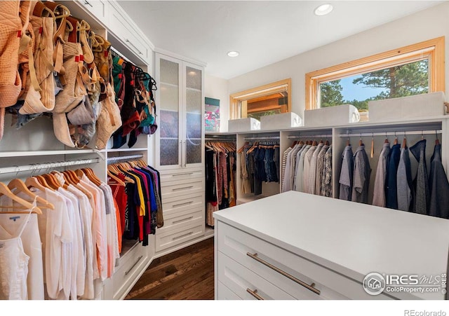 walk in closet with dark hardwood / wood-style flooring