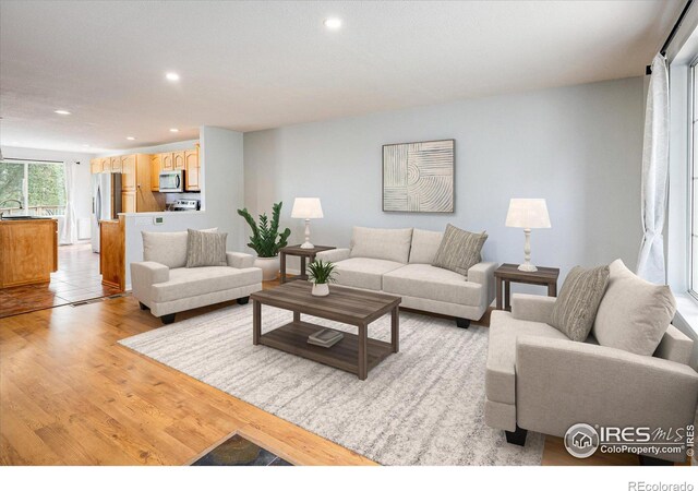 living room featuring sink and light hardwood / wood-style flooring