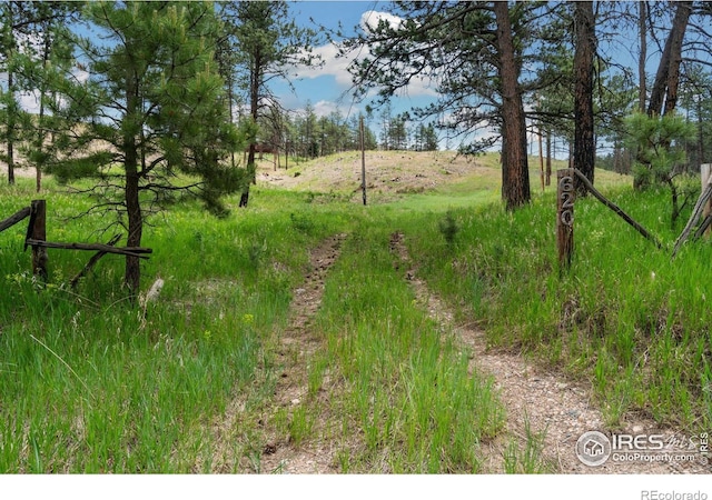 620 Davis Ranch Rd, Bellvue CO, 80512 land for sale