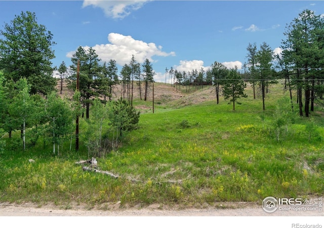 Listing photo 3 for 620 Davis Ranch Rd, Bellvue CO 80512