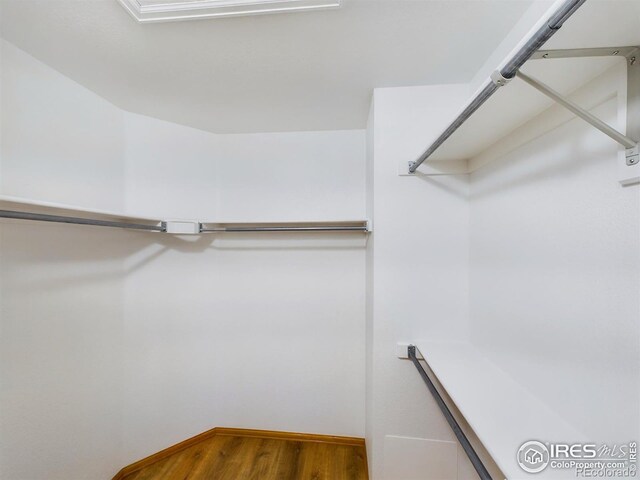 spacious closet featuring hardwood / wood-style flooring