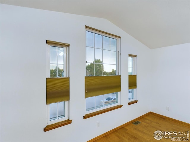 interior space featuring wood-type flooring and lofted ceiling