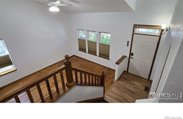2720 E 121st Pl, Thornton, CO 80241 - entrance foyer featuring wood finished floors, visible vents, a ceiling fan, and plenty of natural light