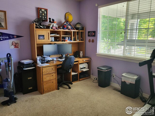 home office featuring light carpet and baseboards