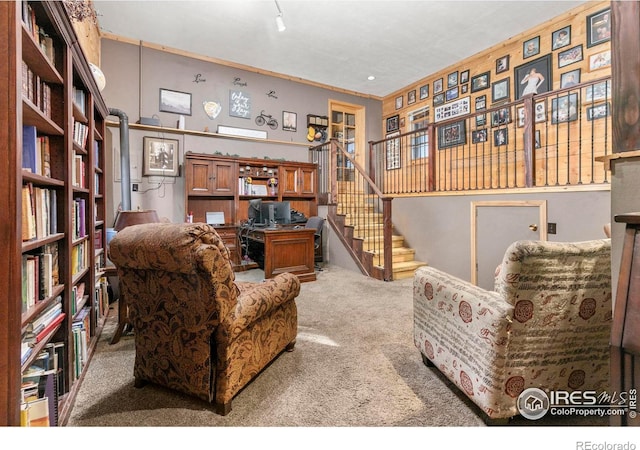 sitting room with carpet floors and ornamental molding