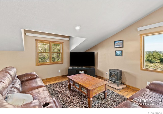 living room with light hardwood / wood-style floors, a healthy amount of sunlight, and a wood stove