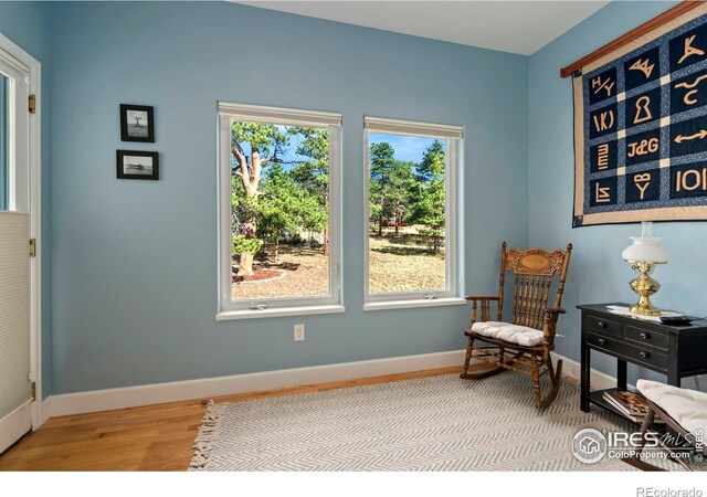 living area featuring light hardwood / wood-style floors and a healthy amount of sunlight