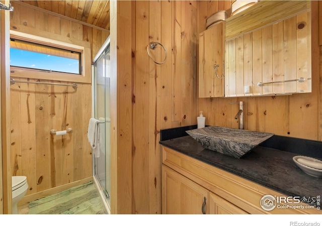 bathroom featuring toilet, wooden walls, a shower with door, and vanity