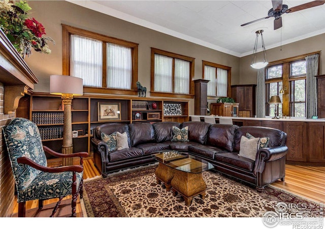 living room with crown molding, hardwood / wood-style flooring, and ceiling fan