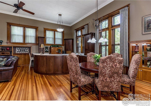 dining room featuring ornamental molding, ceiling fan, and light wood-type flooring