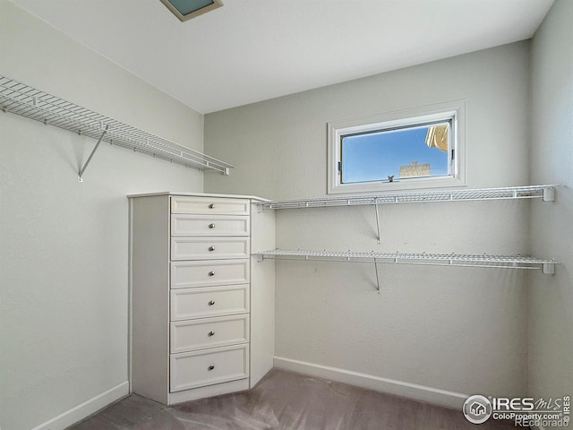 spacious closet with carpet floors