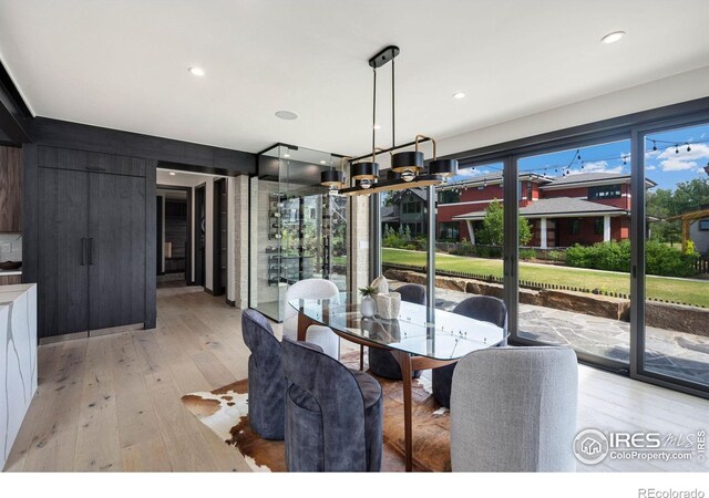 dining area with light hardwood / wood-style flooring