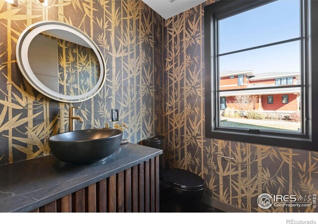 bathroom with toilet and vanity