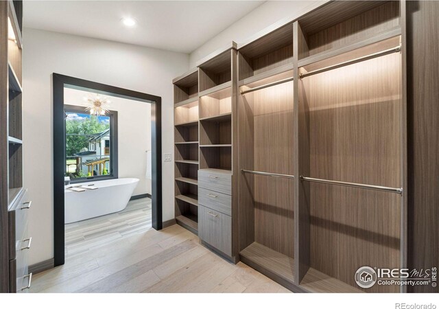 walk in closet with light wood-type flooring