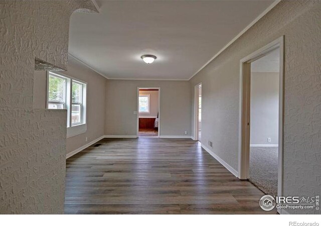 unfurnished room featuring a wealth of natural light, carpet, and ornamental molding