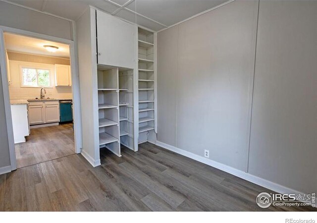 closet featuring sink