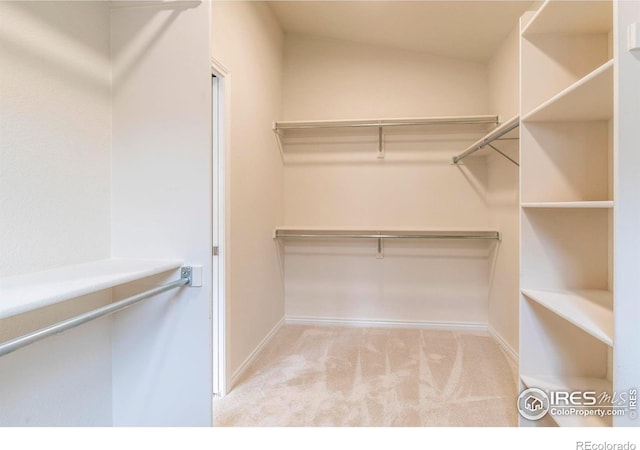 walk in closet with light carpet