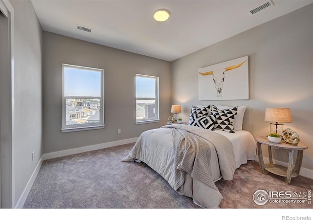 bedroom with carpet flooring