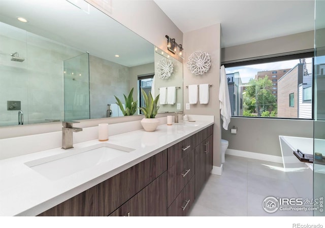 bathroom featuring double vanity, a stall shower, plenty of natural light, and a sink